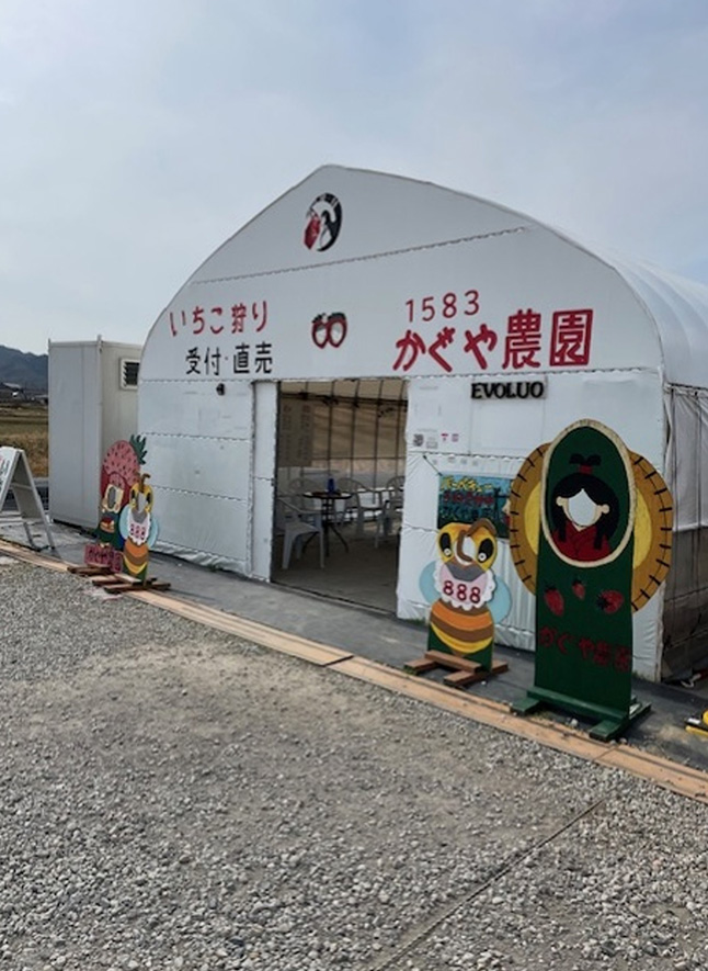 いちご狩りの風景（2024年12月8日～2025年6月8日）