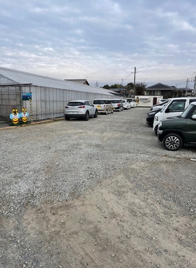 いちご狩りの風景（2024年12月8日～2025年6月8日）