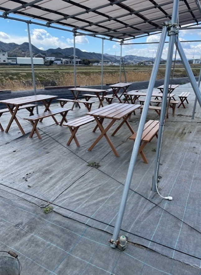 いちご狩りの風景（2024年12月8日～2025年6月8日）