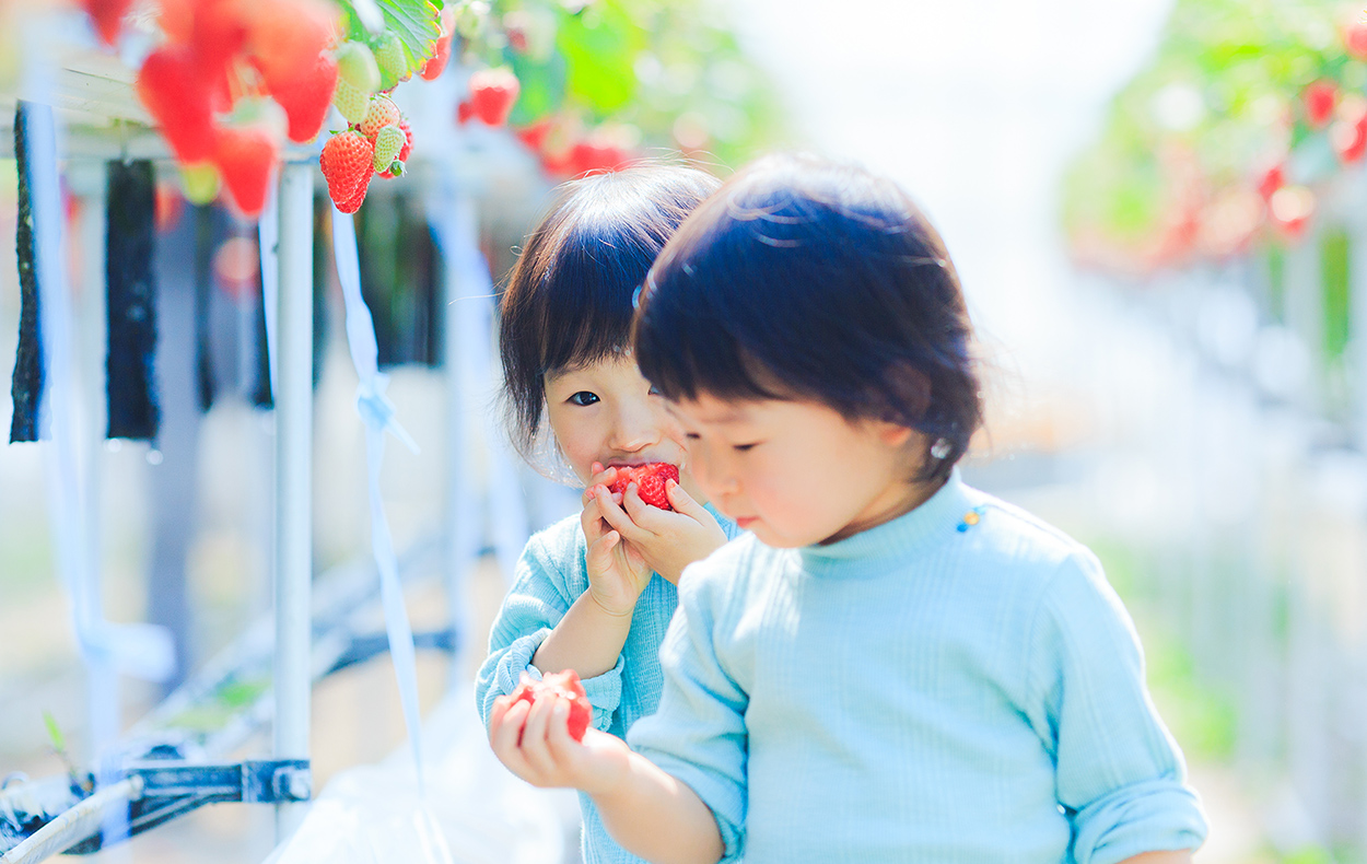 美味しい想い出を一粒一粒に込めて。