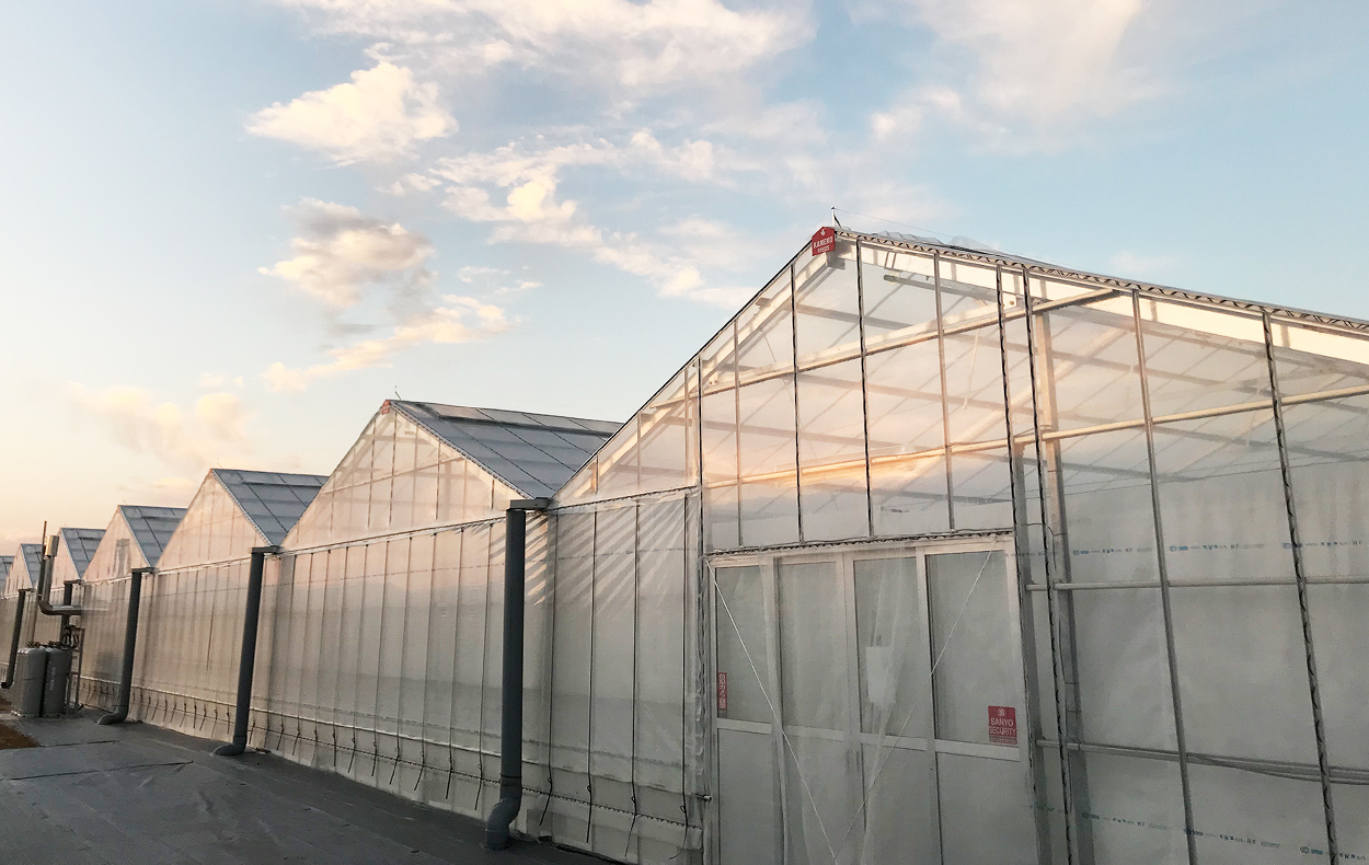 美味しい想い出を一粒一粒に込めて。