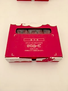 2ケース用化粧箱（2段）