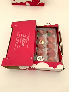 2ケース用化粧箱（2段）