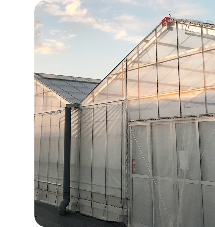 美味しい想い出を一粒一粒に込めて。